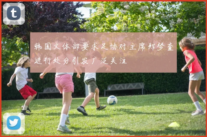韩国文体部要求足协对主席郑梦奎进行处分引发广泛关注