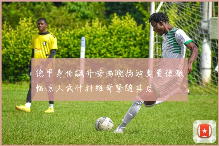 德甲身价飙升榜揭晓扬迪奥曼德涨幅惊人武什科维奇紧随其后