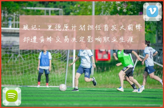 狼记：里德原计划担任首发大前锋却遭黄蜂交易决定影响职业生涯