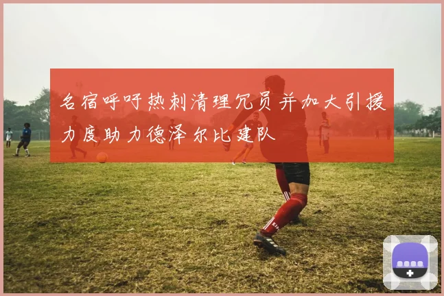 名宿呼吁热刺清理冗员并加大引援力度助力德泽尔比建队